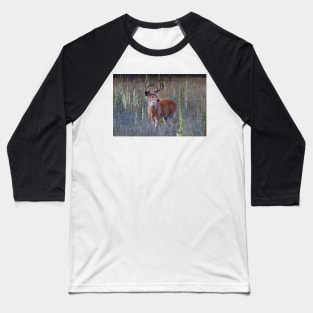 Early Morning White tailed Buck Baseball T-Shirt